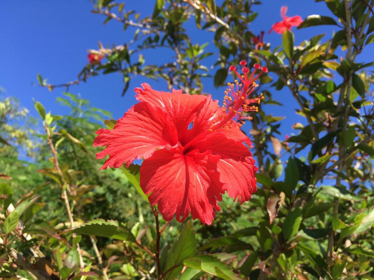 Yoisama Sunrise Beach House Ishigaki  Екстериор снимка